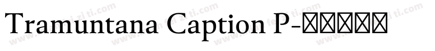 Tramuntana Caption P字体转换